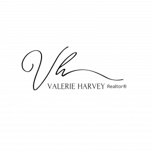Black VH Logo